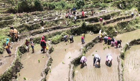 दमकमा सुविधासम्पन्न आधुनिक सपिङ कम्प्लेक्स बन्ने