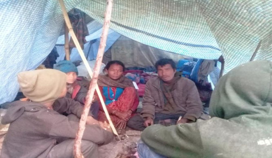 घरबास नहुँदा ४३१ गन्धर्व परिवार बिचल्लीमा
