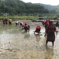 उपप्रधानमन्त्री सिंहद्वारा युवालाई आधुनिक प्रविधिको उपयोग गर्न आग्रह