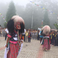 झापामा हात्ती मृत फेला
