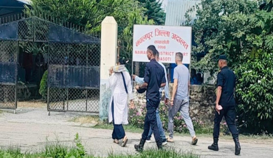 कटान नियन्त्रण गर्न उखु, बाँस र बगरखेती प्राथमिकतामा