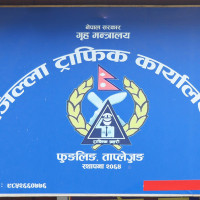 निगालोको टुसाको हुन सकेन व्यावसायिक खेती