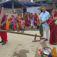 तनहुँमा ८८ प्रतिशत रोपाइँ