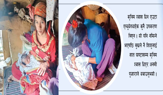 तनहुँमा ८८ प्रतिशत रोपाइँ