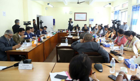 काउन्सिलको स्वायत्तता सुनिश्चित गर्न सुझाव