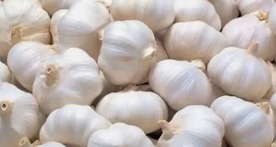 लसुन आयात दुई सय पच्चिस प्रतिशतले वृद्धि
