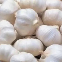 सेवा बन्द गरेर आन्दोलनमा चिकित्सक  (फोटो फिचर)