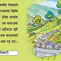 रेमिट्यान्समा उतारचढाव