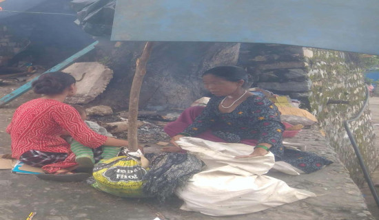 भूकम्प प्रभावितको बिचल्ली