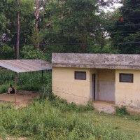 सात हजार बढीको कानको उपचार