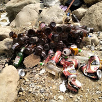 शुक्लाफाँटामा बाघको संख्या ४३ पुग्यो