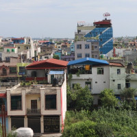 बोरिङका भरमा रोपाइँ
