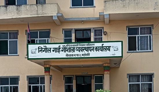 निगौल गौशालालाई हस्तक्षेप नगर्न उच्चको आदेश
