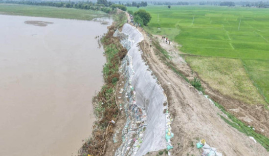 राप्ती नदीमा आपत्कालीन तटबन्ध निर्माण