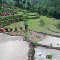 घरको छतमा जहाजको प्रतिमा
