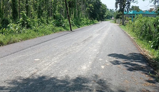 पल शाह विरुद्धको मुद्दाको फैसला आज हुँदै