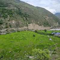 शीर्षक के हो