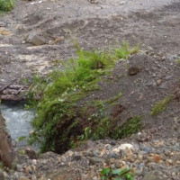 २७ हजार बढी भूकम्पपीडितले पाए पहिलो किस्ताको राहत