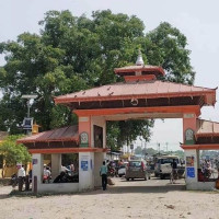 निगौल गौशालालाई हस्तक्षेप नगर्न उच्चको आदेश