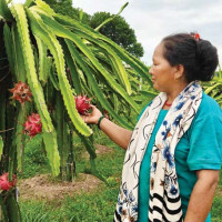 ब्रिक्स राष्ट्रहरूद्वारा ट्रम्पको करमाथि ‘गम्भीर चिन्ता’ व्यक्त