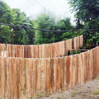 अर्गानिक बन्न चुकेको ‘जन्तेबाख्रो’