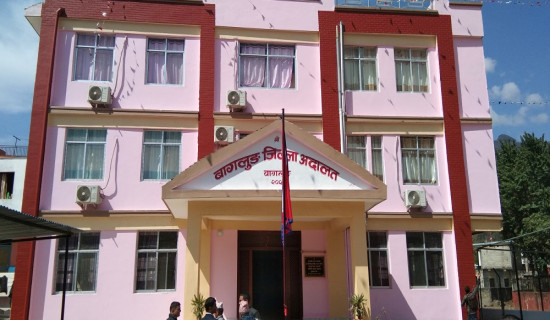 युवाको सक्रियता र नीति निर्माणमा बहस