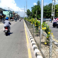 क्रिकेट टोली स्वदेश फर्कियो
