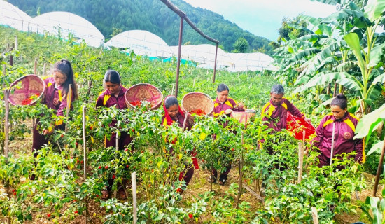 ‘महाभोज’ को पोस्टर सार्वजनिक