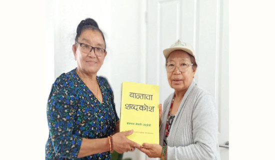 डिभिजन वन कार्यालय प्रमुखमाथि हातपात