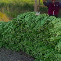 ‘लालीबजार’ मा स्वस्तिमा