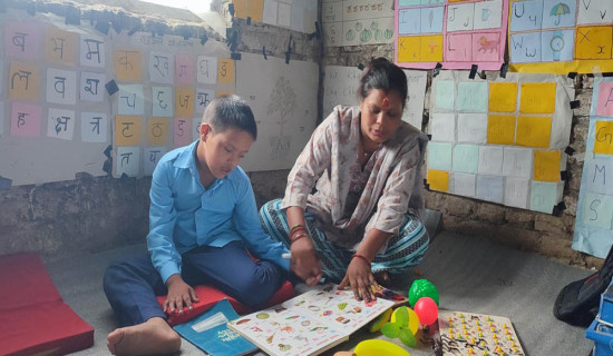 मधेशले जित्यो यु-१६ क्रिकेट उपाधि