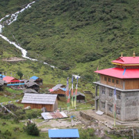 एसिसी यु–१६ः नेपाल समूह विजेता बन्दै सेमिफाइनलमा, भुटान २९८ रनले पराजित