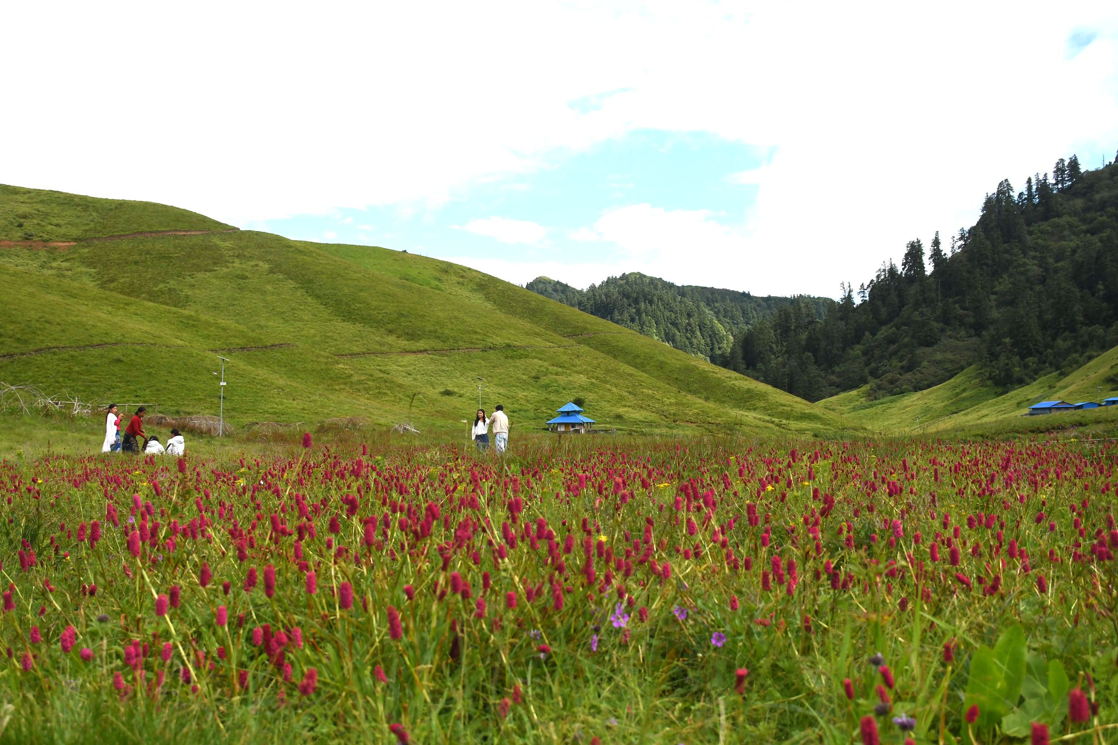blog