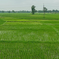 सगरमाथा संवादको तयारी अन्तिम चरणमा : छ वटा विषयमा केन्द्रित हुने