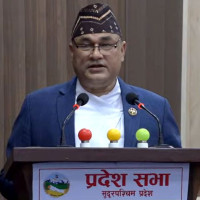 अर्थमन्त्रीको विषयमा संसदीय छानबिन समिति गठन होस् : उपसभापति खड्का