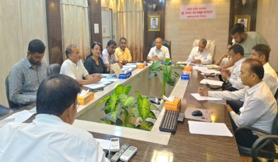 ढैंचा मल, रासायनिक मलको विकल्पमा उत्तम