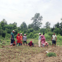 कञ्चनपुरमा बसको ठक्करबाट पैदलयात्रुको मृत्यु