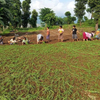 छठपर्वका लागि सामग्री खरिदबिक्री गरिँदै (फोटो फिचर)