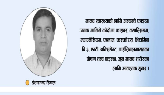 बहुगुणकारी कोदो