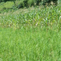 युवतीमाथि यौन दुर्व्यवहार गर्ने दुई जनालाई कैद सजाय