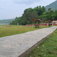 बहुगुणी तुलसी
