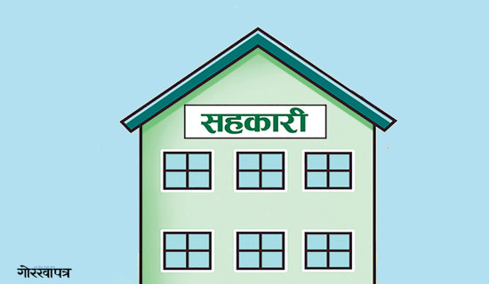 सहकारी प्रकरण : पच्चिस करोड अपचलन