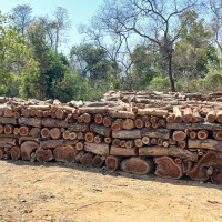 चुनावको तयारीमा म्यान्माको जुन्ताद्वारा आपतकालीन अवस्थाको अन्त्य