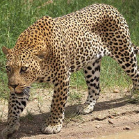 भौतिक पूर्वाधार मन्त्रालयको पुँजीगत खर्च ७५ प्रतिशत