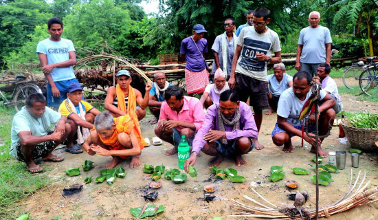 सर्पदंशको उपचार गर्न नगहर गुरुवाको भर
