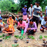 बजेट अभावले विद्याभूषण अनिश्चित