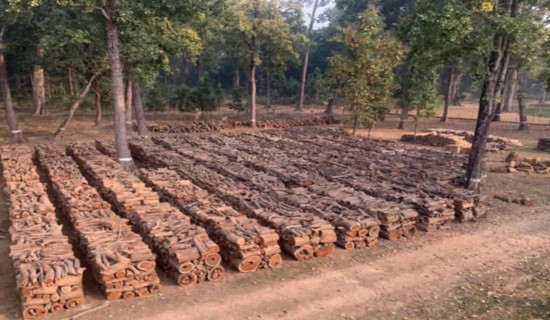 अर्घाखाँचीमा १० करोड ७१ लाख रुपियाँको काठ बिक्री