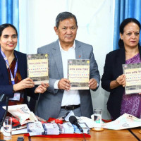 विदेशी भूमिमा पुगेर नेपालीले कमाएको अनुभव देश विकासमा फर्काउनुपर्छ : डा. महत