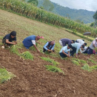 हामीले गरेका असल काम