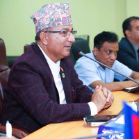 बिउ उखेल्दै किसान